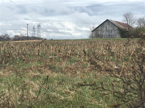 Kentucky's rural counties take hit in latest census data - Kentucky Living