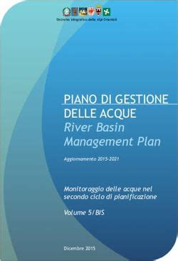 Piano Di Gestione Delle Acque River Basin Management Plan