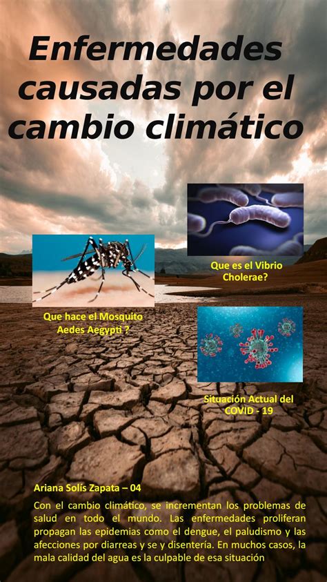 Enfermedades Causadas Por El Cambio Climatico By Ariana Sol S Zapata