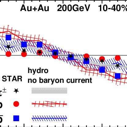 Rapidity Dependence Of The Directed Flow Of Pions Stars And Gray