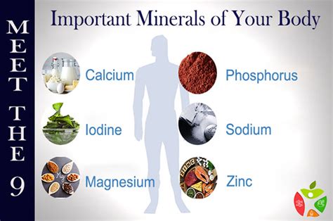 Minerals In The Body