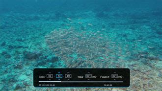 Медиацентр iconBIT XDS1003D