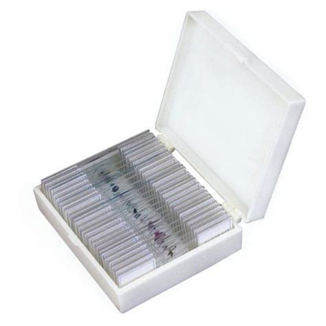 Amscope Ps25p Prepared Microscope Slide Set For Basic Bio