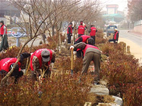 수곡2동 주민센터 잠두봉 공원에 영산홍 식재 충북과 나의 연결고리 충북일보