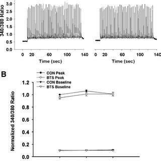 A Representative Tracing Of Cytosolic Ca Concentration Ca C In