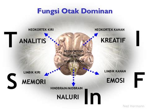 Nanyfadhly Kenali Personaliti Profil Diri Dengan Ujian Stifin