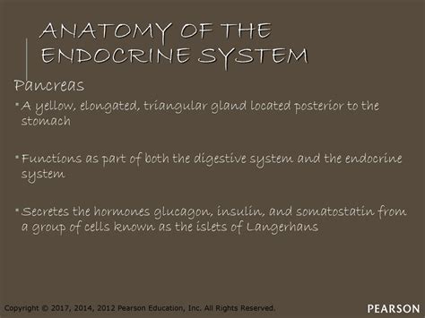 Endocrinology Chapter Ppt Download