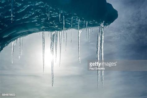 118 Icebergs Wilhelmina Bay Antarctica Stock Photos, High-Res Pictures, and Images - Getty Images