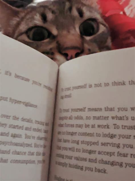 Digital shifts will redefine how you read the Tcherald daily 18