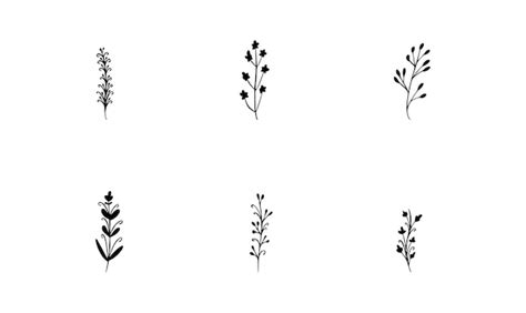 Premium Vector Botanical Flowers Vector Icons Set