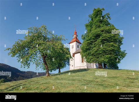 Tomaz Hi Res Stock Photography And Images Alamy