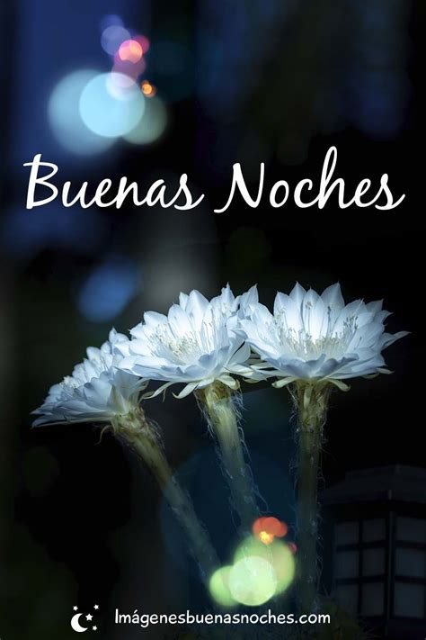 Buenas Noches Flores Im Genes Buenas Noches