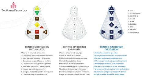 Dise O Humano The Human Design Lab