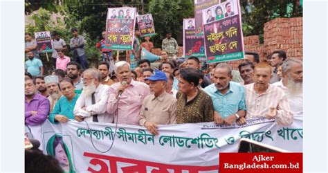 লোডশেডিং ও দুর্নীতির প্রতিবাদে নোয়াখালীতে বিএনপির অবস্থান কর্মসূচি