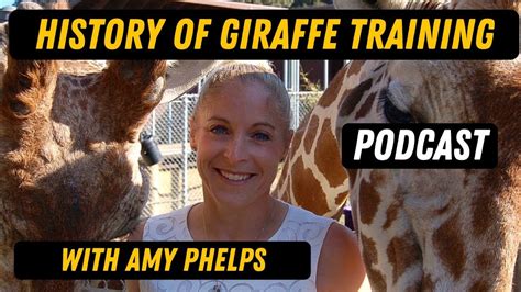 The History Of Giraffe Training With Amy Phelps YouTube