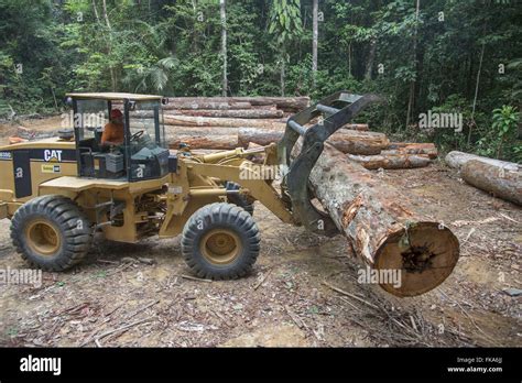 Stacking Timber Hi Res Stock Photography And Images Alamy