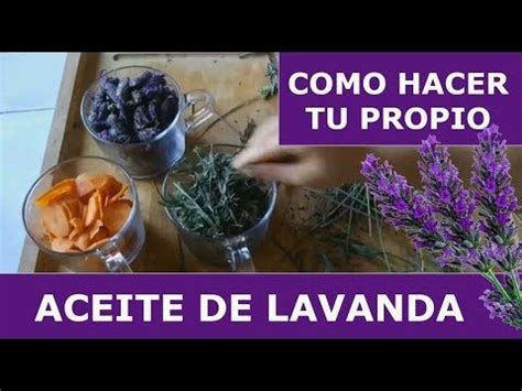 Cómo Hacer Aceite De Lavanda Maripo