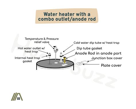 anode rod replacement cost actual quote  tibble
