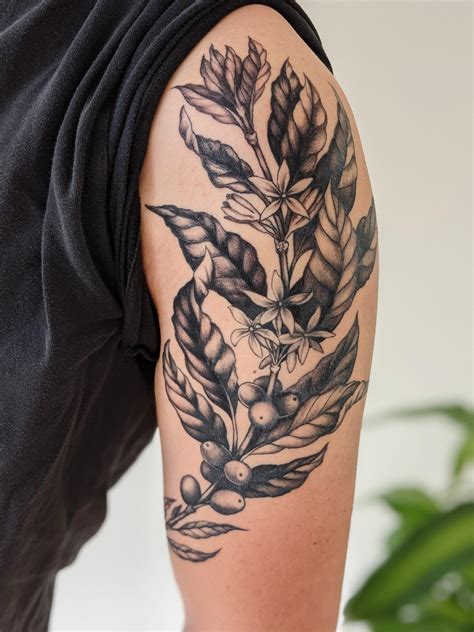 Something different: my new coffee plant tattoo, by Annie Cogdal @ The ...