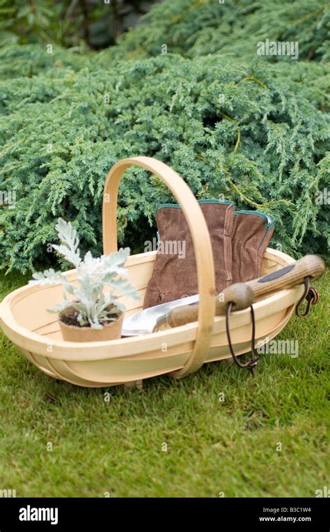 A trug containing a plant and gardening tools Stock Photo - Alamy