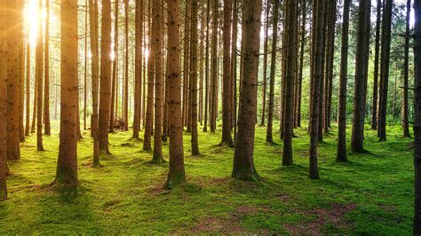 Skolbanken NO natur och miljö