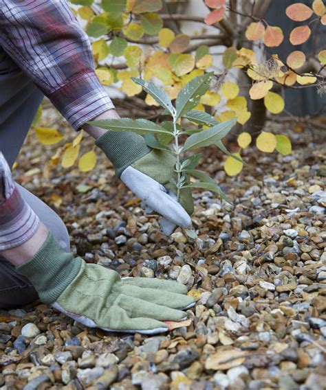 How To Remove Weeds From Gravel Tips To Get Rid Of Them Homes Gardens