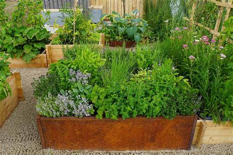 How To Start Your Own Herb Garden Gardener S Path