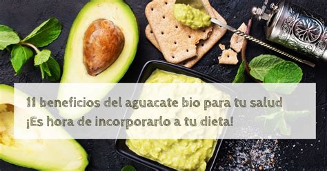 Beneficios Del Aguacate Para Tu Salud Tropicultura