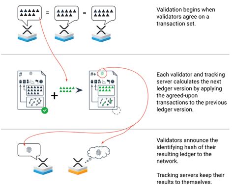 XRP Ledger Consensus Mechanism Explained in Simple Terms | CoinBrain