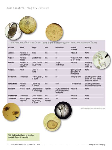 Chart Of Parasite Pdf Egg