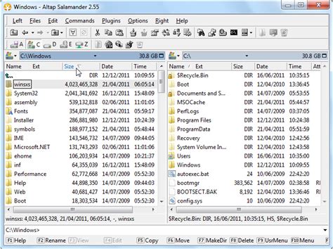 How To Sort By File Size