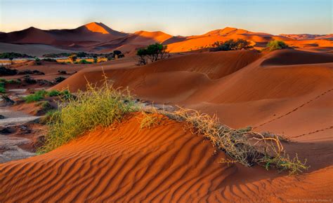 Namibia Spectacular Colours Of A Magnificent Wilderness Destination