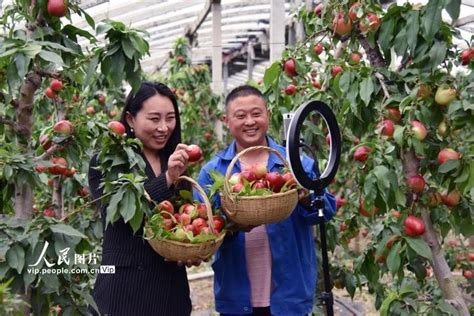 电商每周热点：农村电商带动消费扶贫 直播带货问题频出 经济·科技 人民网