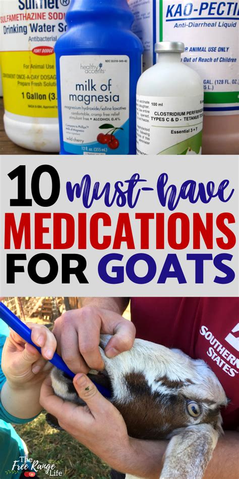 Goat Medications No Goat Owner Should Be Without Raising Goats