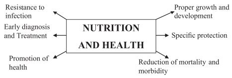 The Relationship Between Nutrition And Health