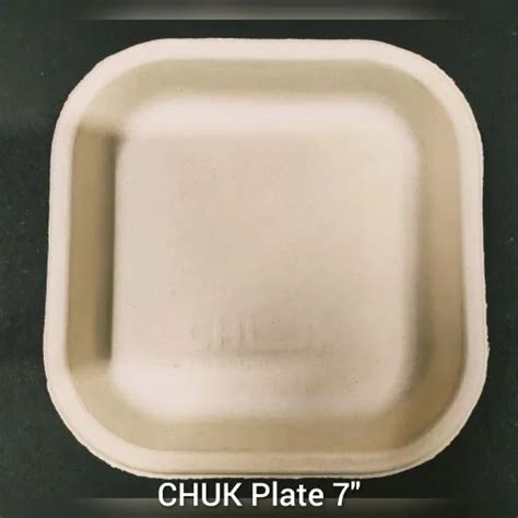 Compostable Sugarcane Bagasse Plate Inch Chuk At Piece