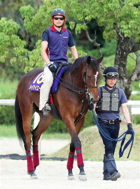 【スプリンターズs】9度目g1挑戦のメイケイエールは4枠8番 武英調教師「ちょうどいいところだと思います」 Umatoku 馬トク