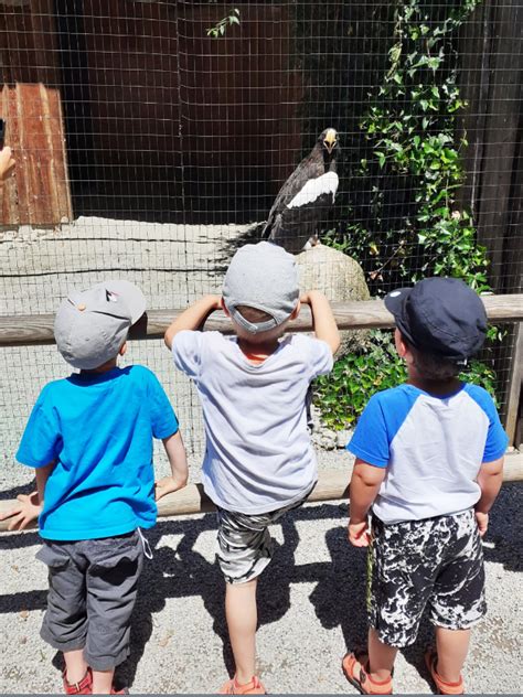 Ausflug In Den Tierpark Poing S Mauganest Mittenwald