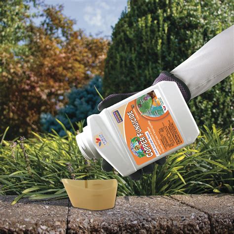 Bonide Captain Jack Copper Fungicide Oz Concentrated Plant Disease