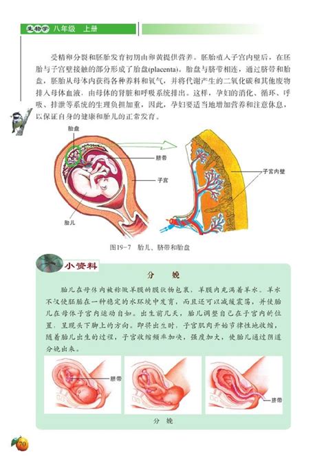 人的生殖和发育5课文北师大版初中生物初二生物上册课本书好学电子课本网