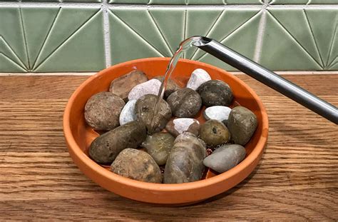 How To Use A Pebble Tray Citizenside