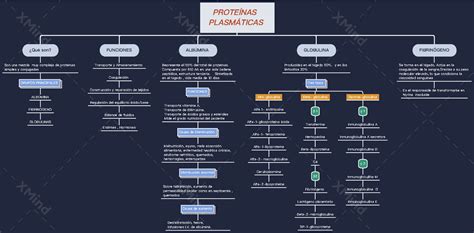 Mapa Conceptual De Proteinas Plasmaticas Porn Sex Picture