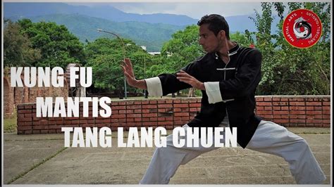 ¿que Es El Kung Fu Tang Lang Chuen O Mantis Es Realmente Efectivo El Estilo Mantis Praying