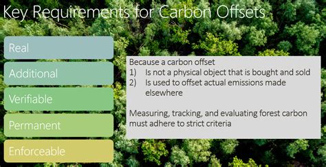 Forest Carbon Markets – Securing Northeast Forest Carbon Program