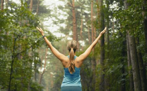 The Ultimate Guide To A Healthy And Fit Lifestyle Hubpages