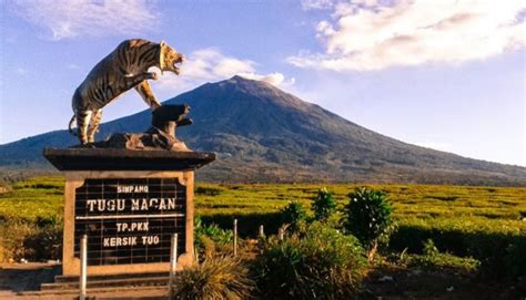 15 Nama Gunung Tertinggi Di Indonesia Beserta Ketinggian Dan Letaknya