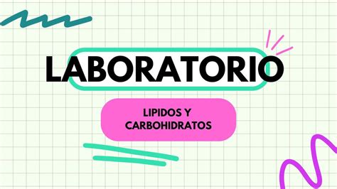 L Pidos Y Carbohidratos Gabriel Eduardo Barua Horna Udocz