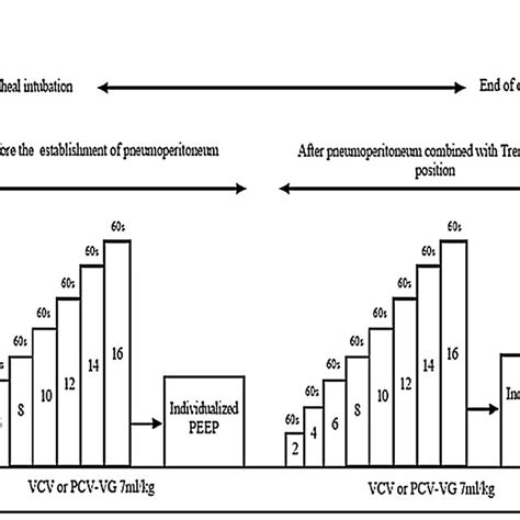 Study Protocol Of The Incremental PEEP Titration Procedure Directed By