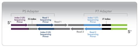 Getting A Read On Ngs Barcodes