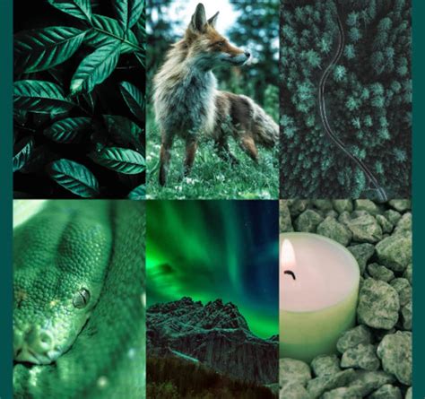 Emerald Green Aesthetic Wall Collage Kit 40 Pcs Boho Etsy Finland